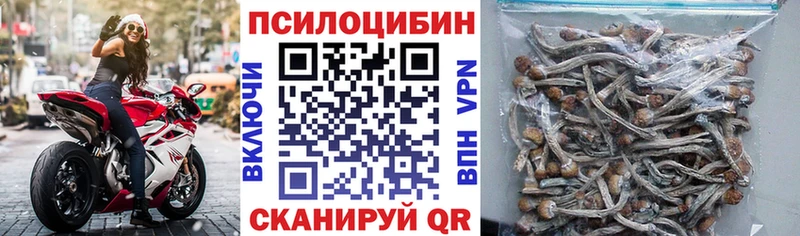 Галлюциногенные грибы Cubensis  сколько стоит  Уфа 
